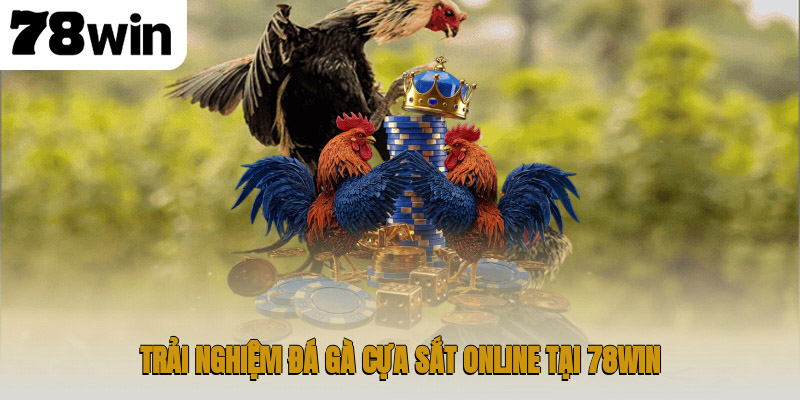 Trải nghiệm đá gà cựa sắt online tại 78WIN